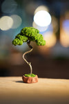 Small Tree in the East