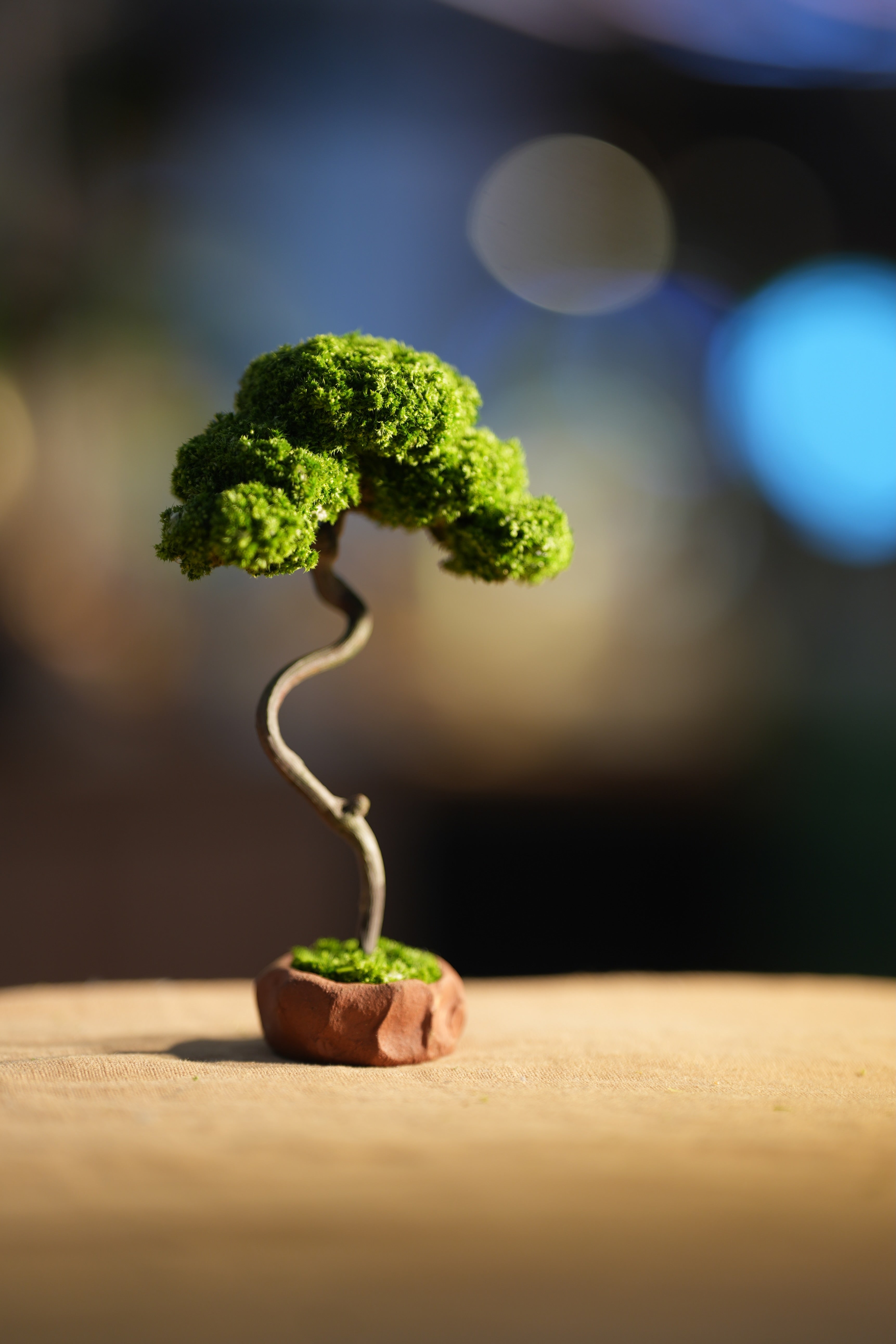 Small Tree in the East
