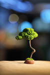 Small Tree in the East