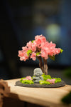 Rosewood - Sakura - Journeyman