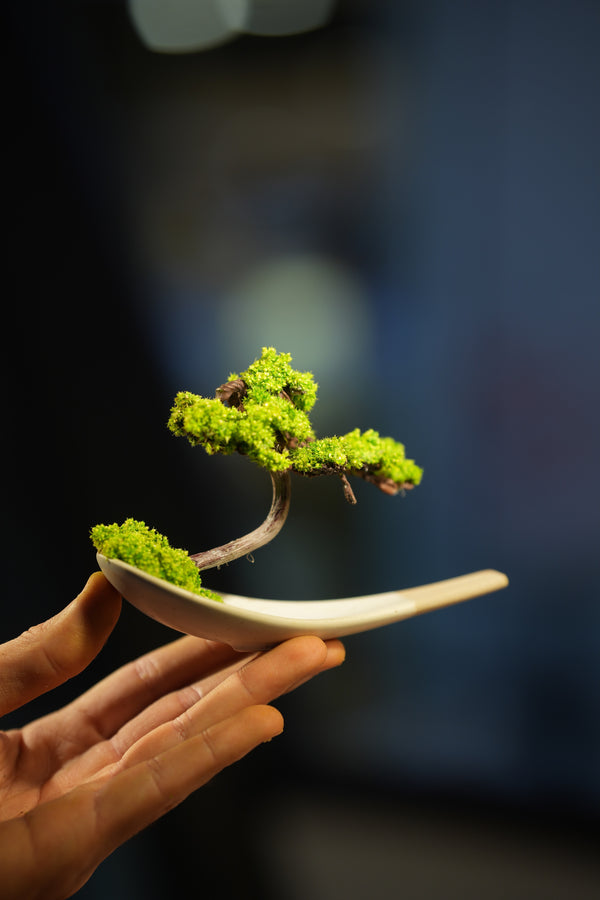 Small Tree in the East - Ceramic Curve