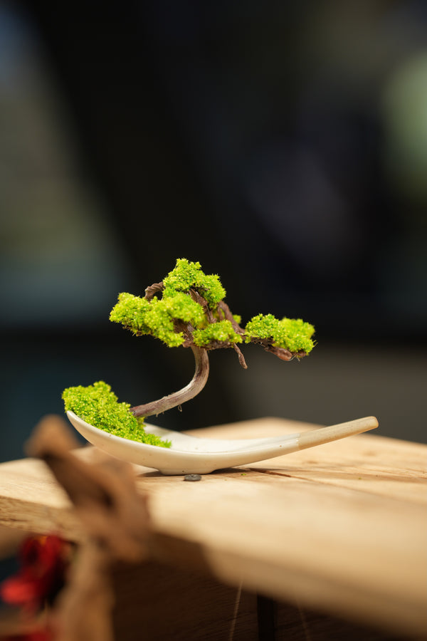 Small Tree in the East - Ceramic Curve