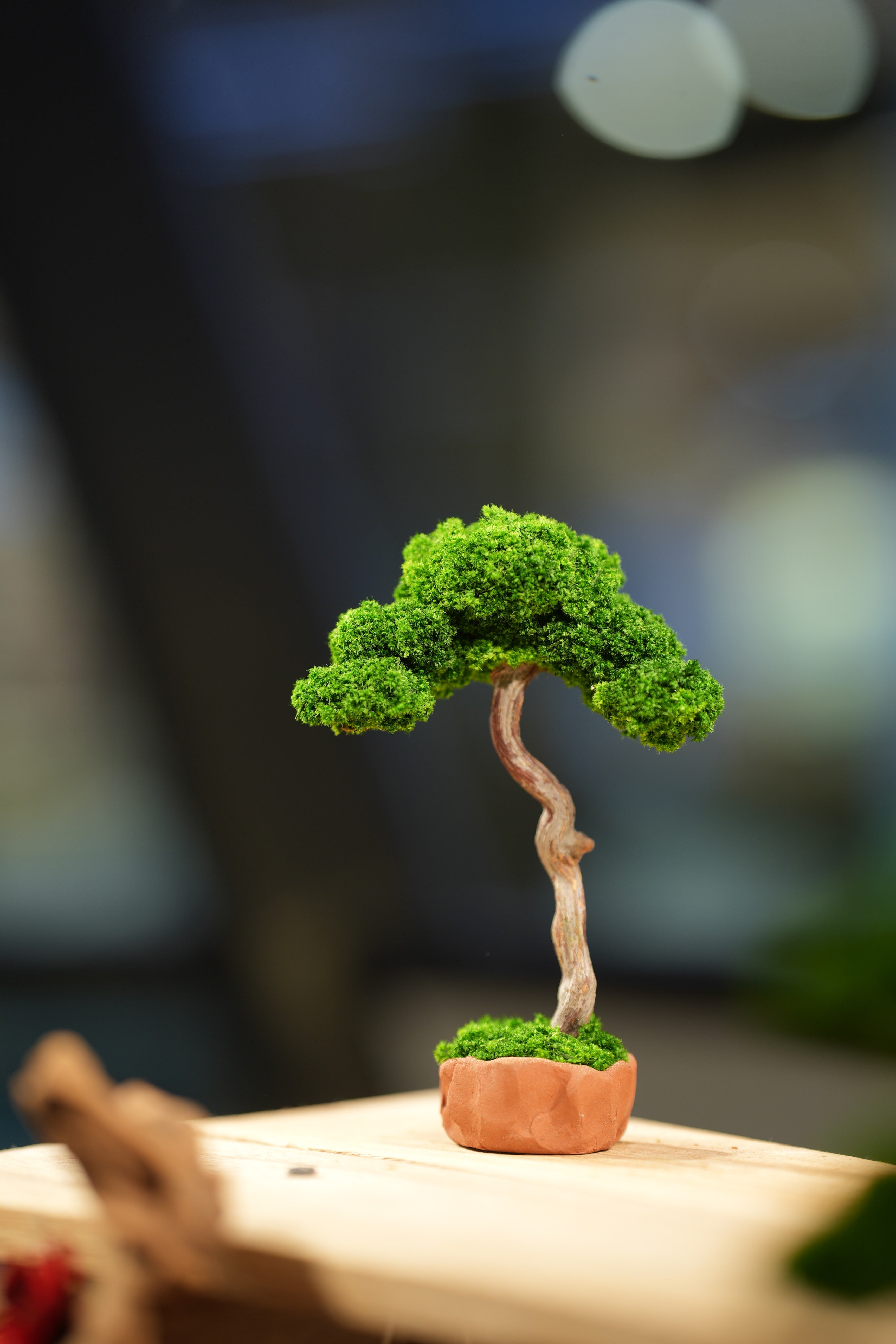 Small Tree in the East - Classics
