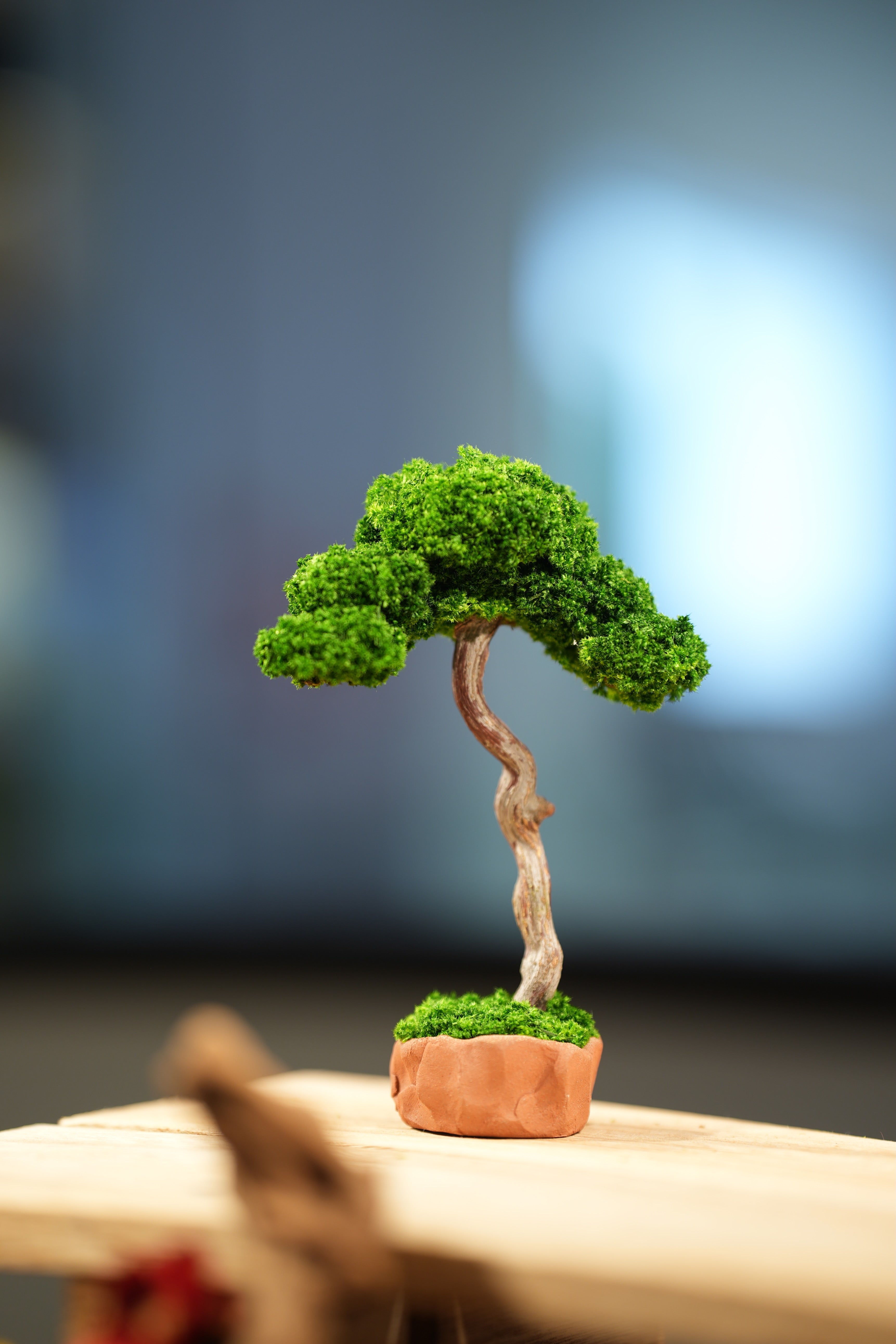 Small Tree in the East - Classics