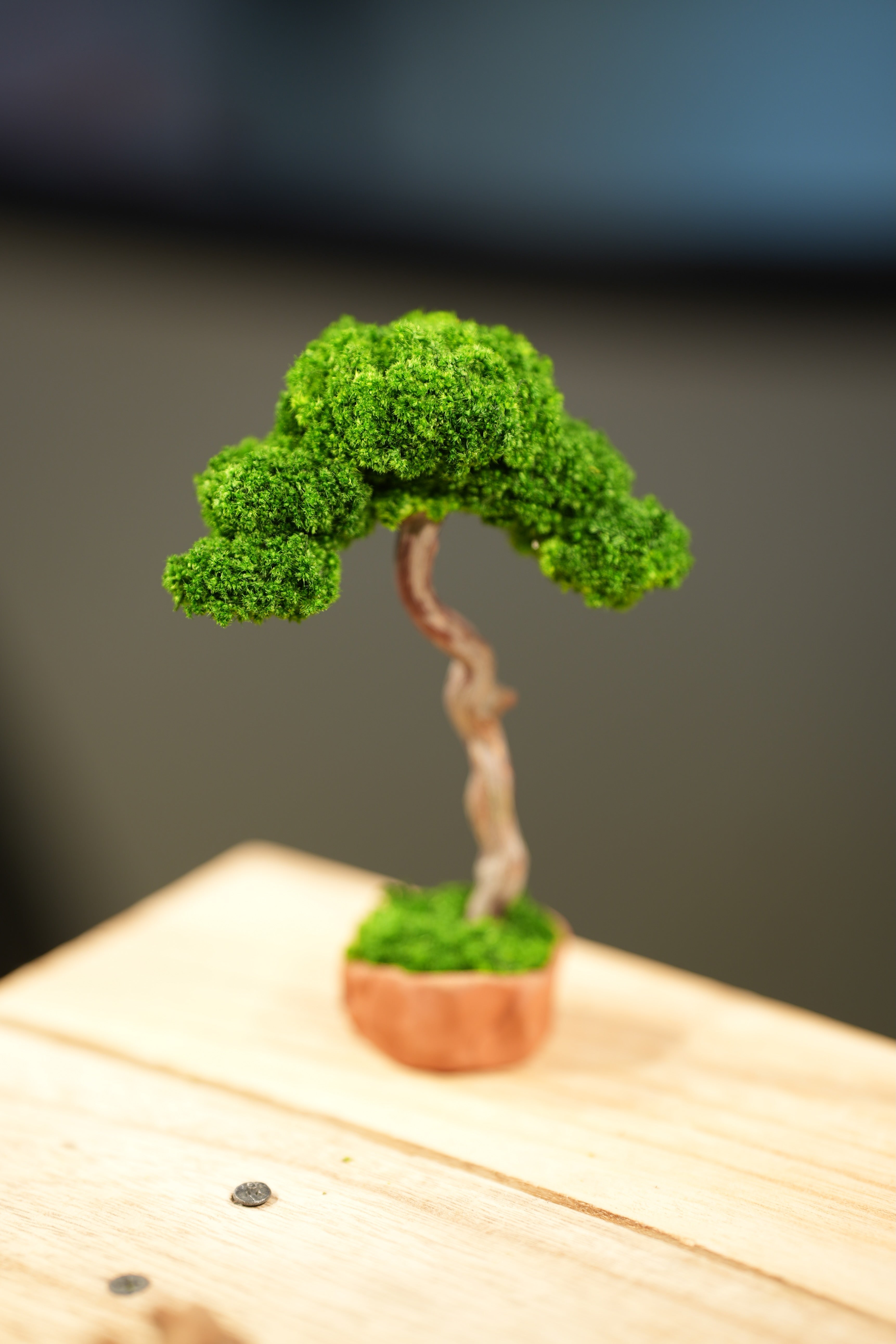 Small Tree in the East - Classics