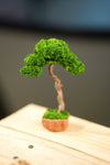 Small Tree in the East - Classics