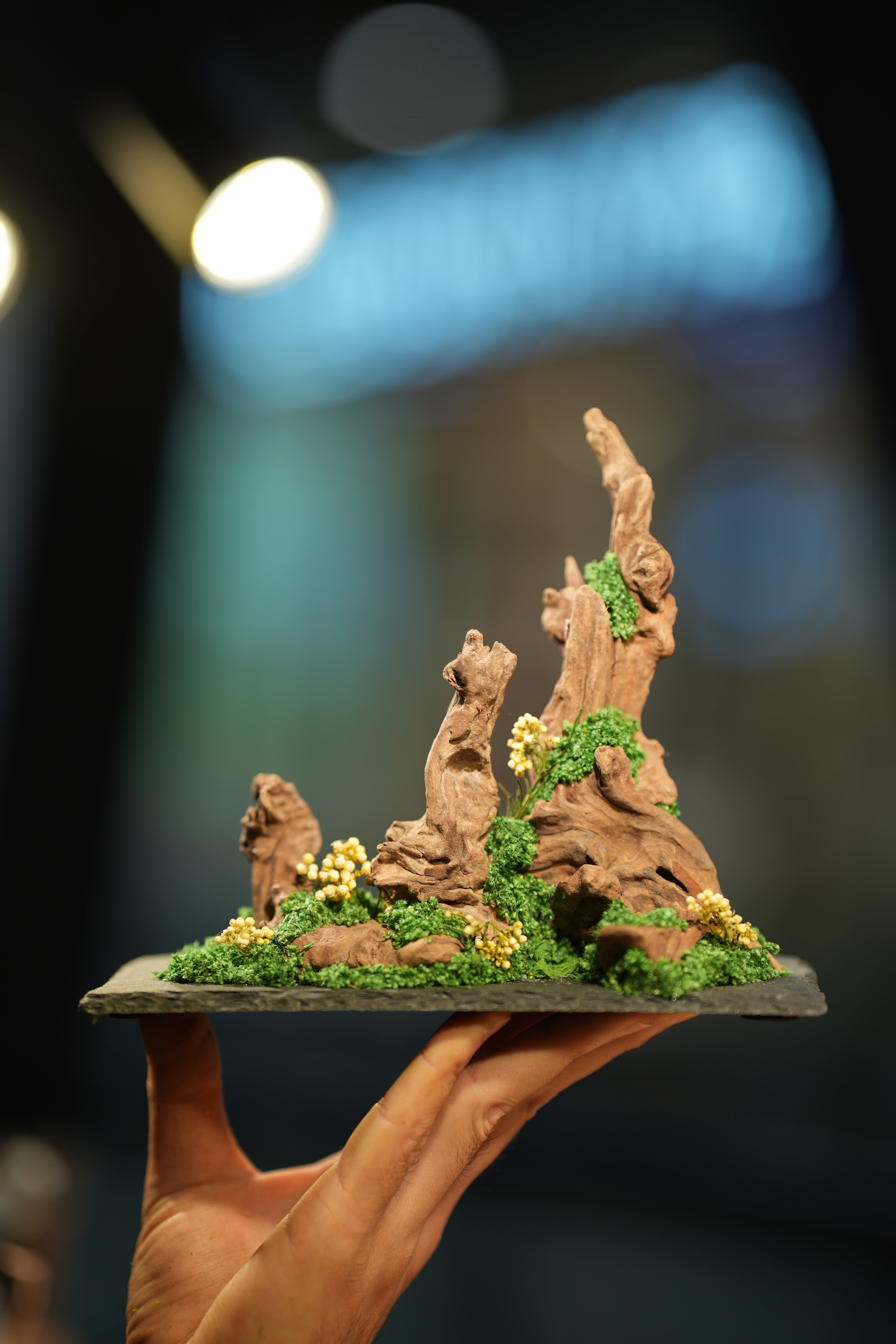 Angel's Landing - Driftwood - Small version
