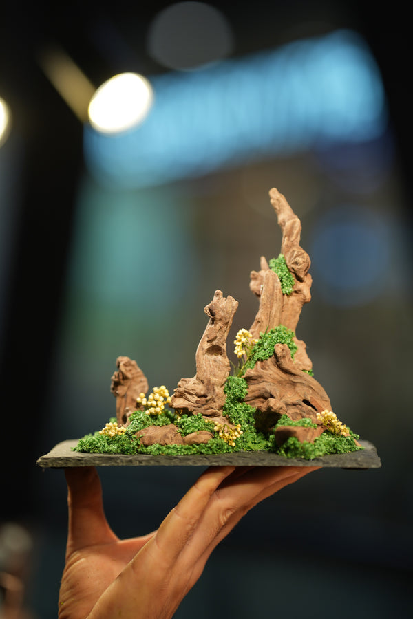 Angel's Landing - Driftwood - Small version