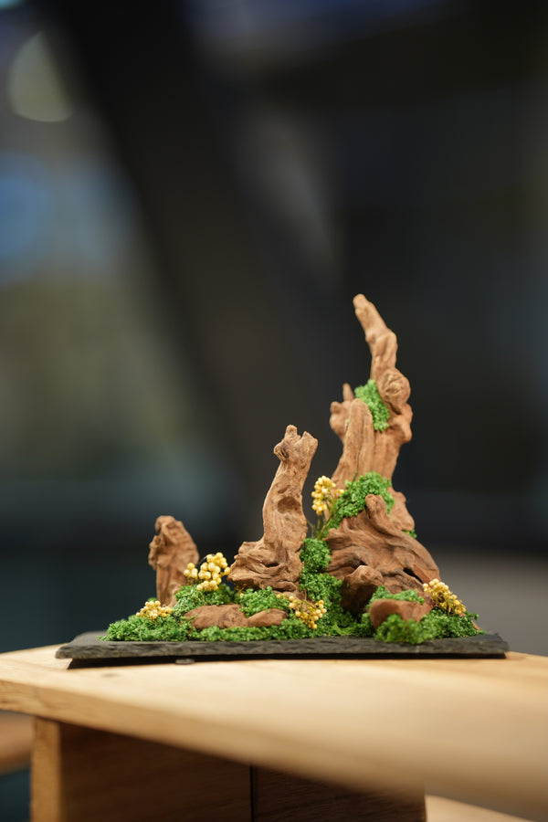 Angel's Landing - Driftwood - Small version