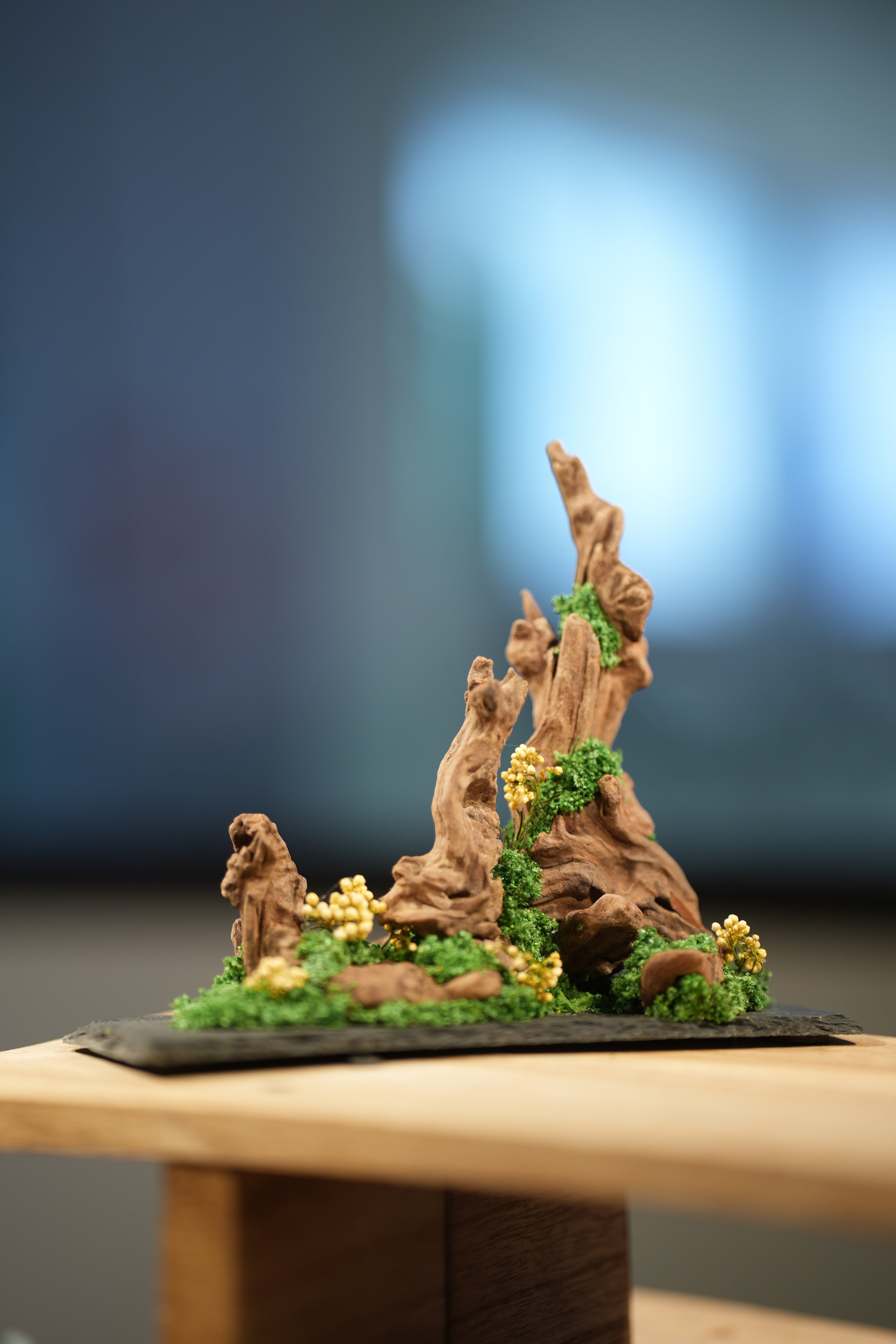 Angel's Landing - Driftwood - Small version