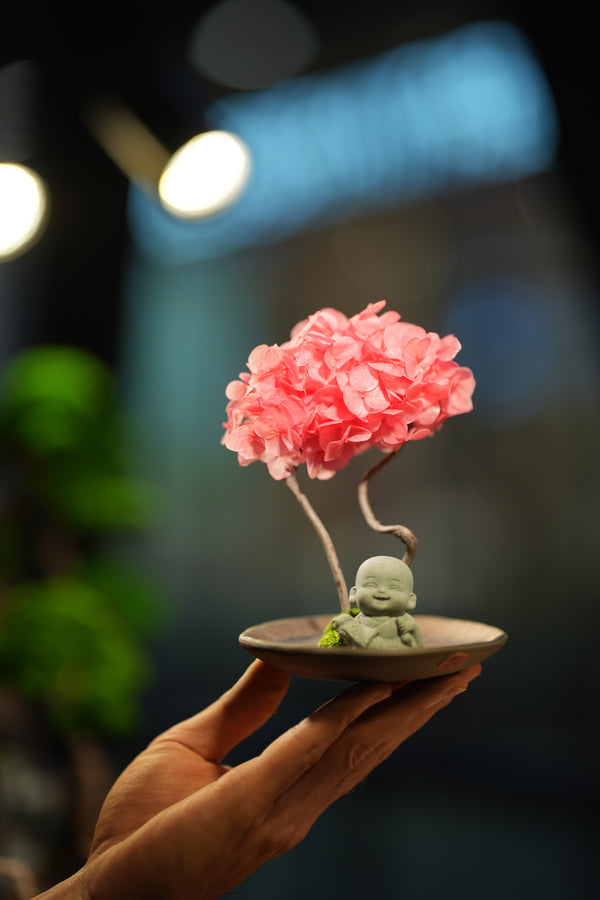A Small Tree in the East - Sakura - Journeyman - Classics