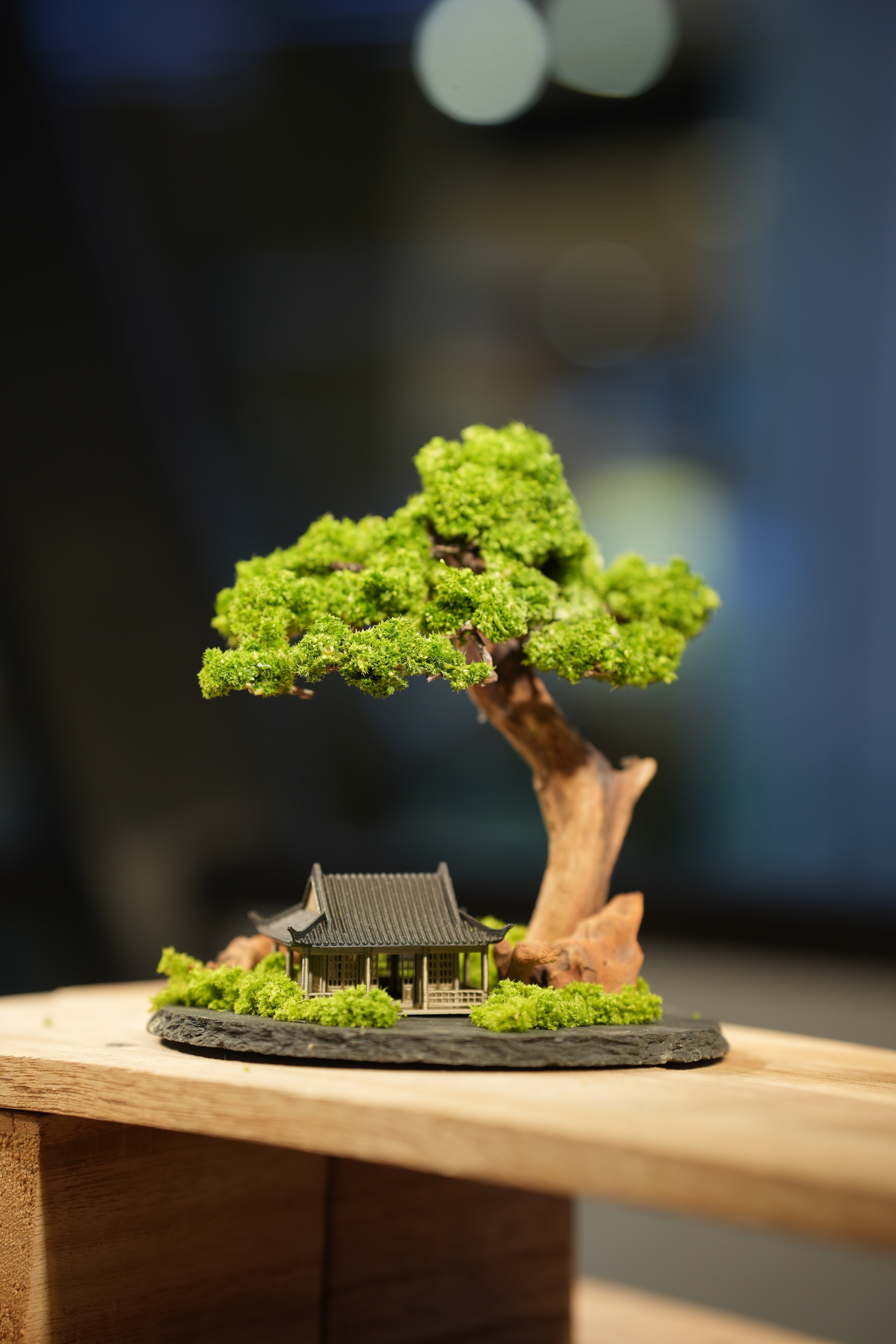 Slow Wood - Teaman's Retreat