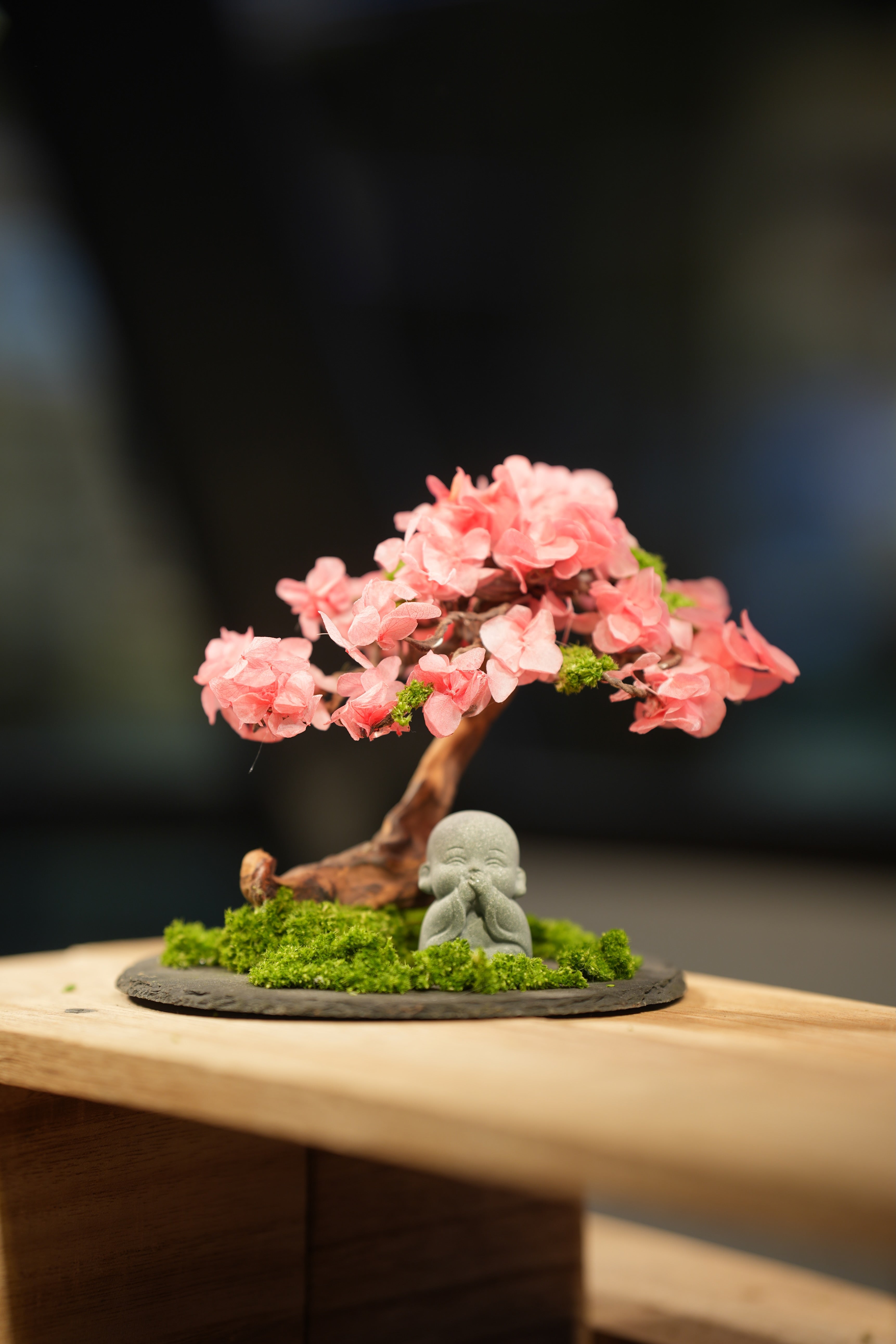 Rosewood - Sakura - Journeyman