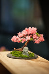 Rosewood - Sakura - Journeyman