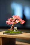 Rosewood - Sakura - Journeyman