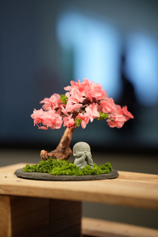 Rosewood - Sakura - Journeyman