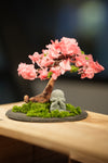 Rosewood - Sakura - Journeyman