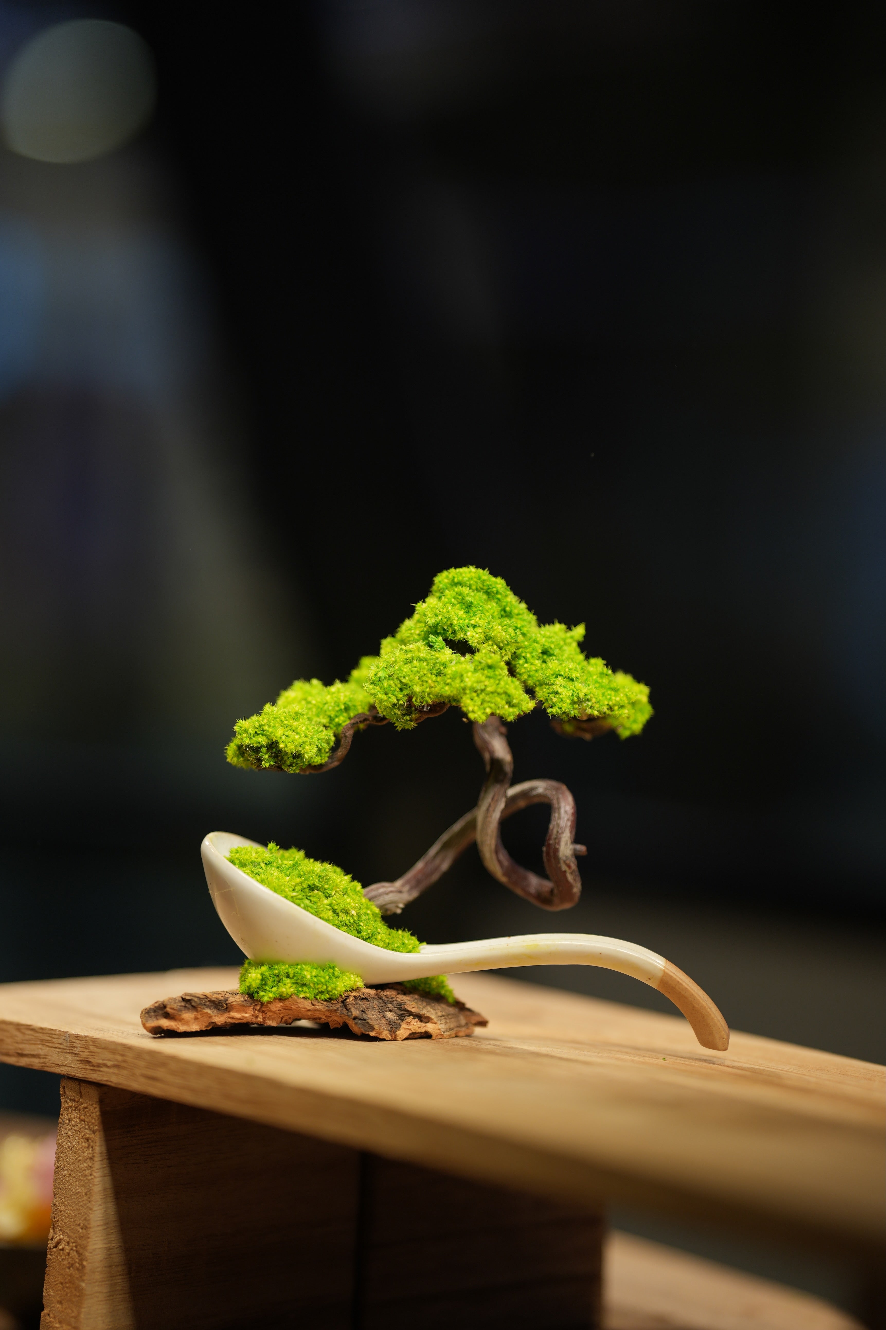 Rosewood - Ceramic Curve
