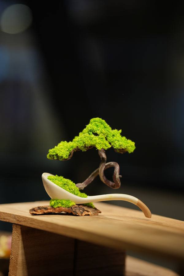 Rosewood - Ceramic Curve