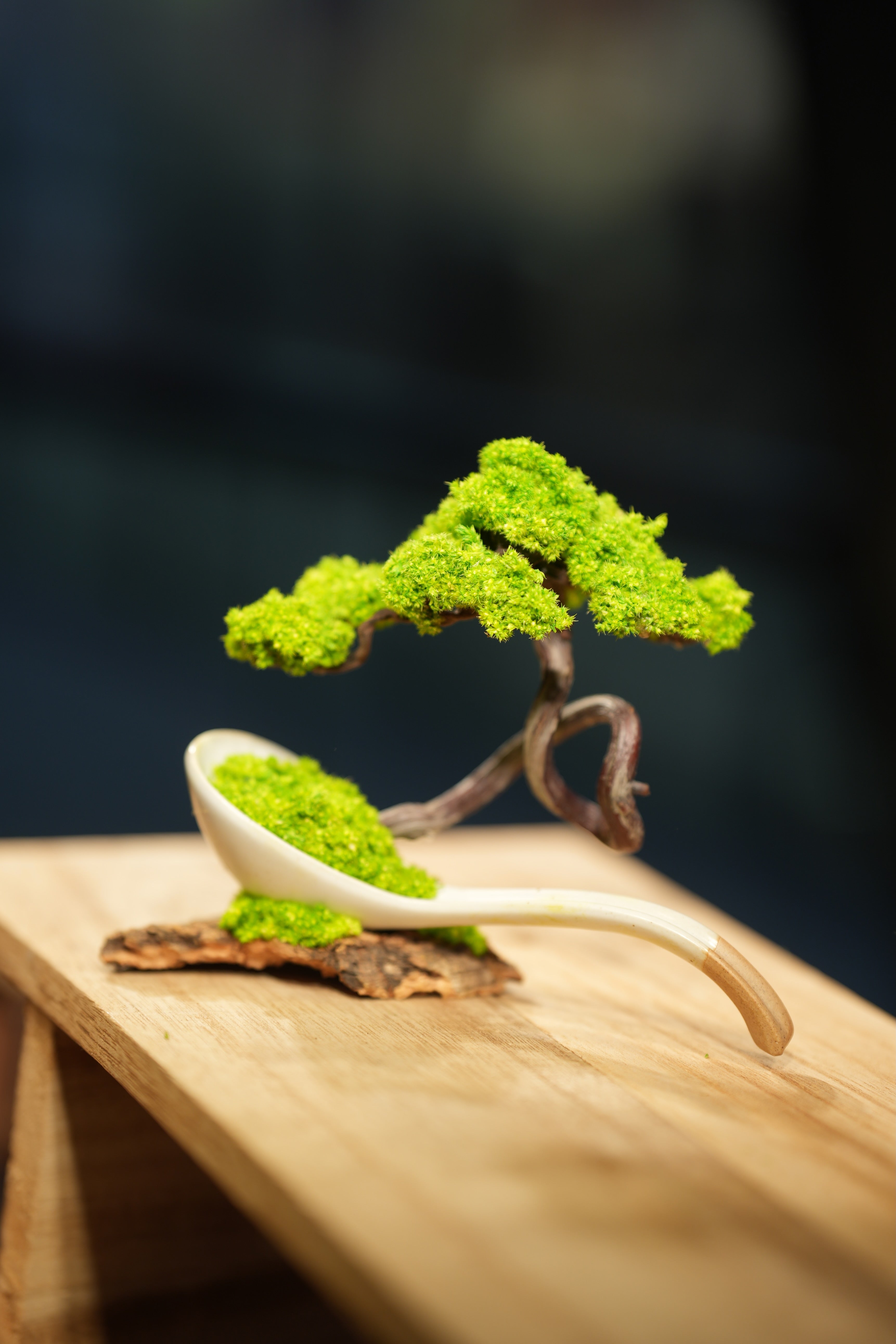 Rosewood - Ceramic Curve