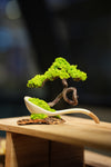 Rosewood - Ceramic Curve