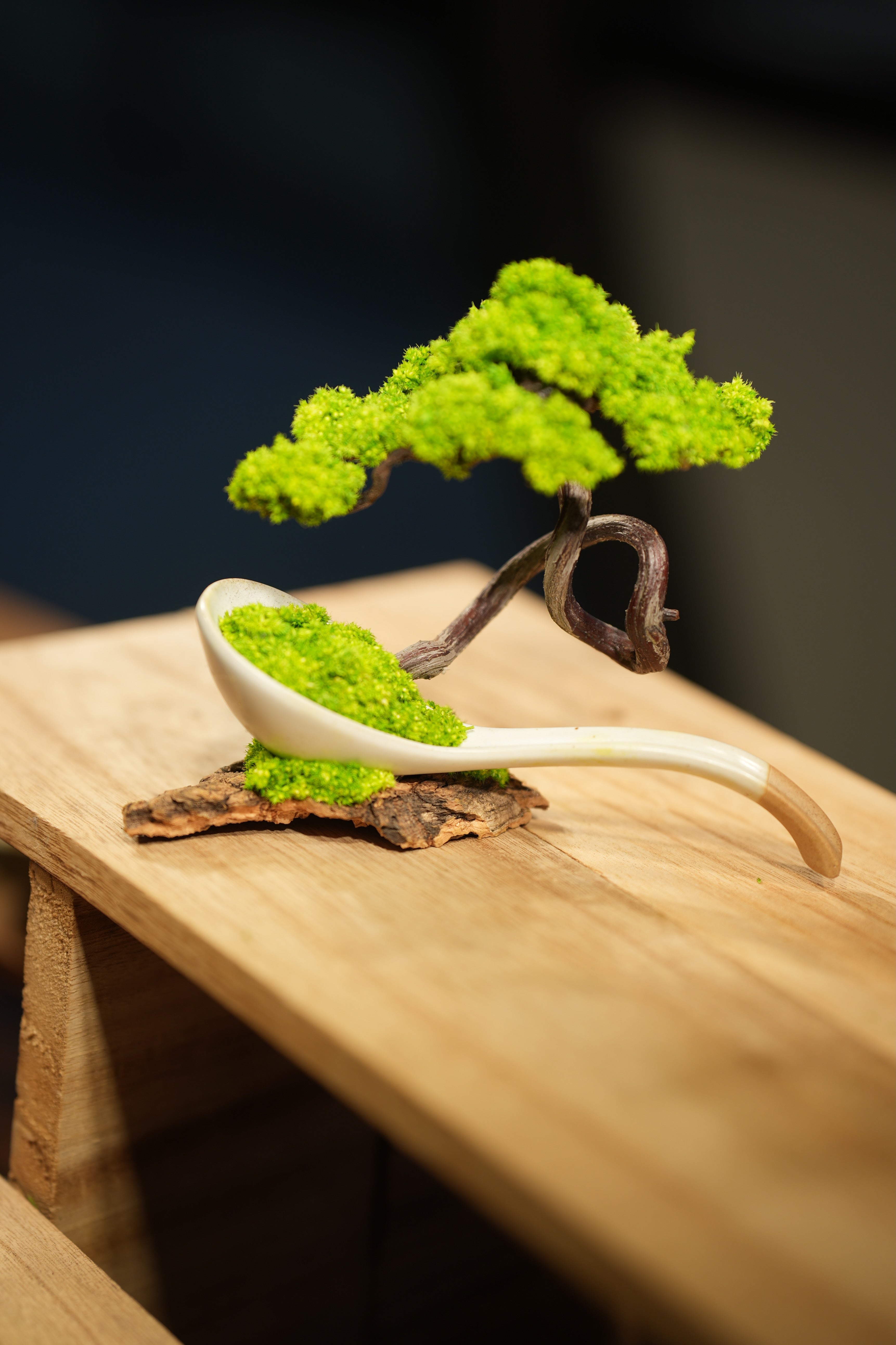 Rosewood - Ceramic Curve