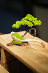 Rosewood - Ceramic Curve