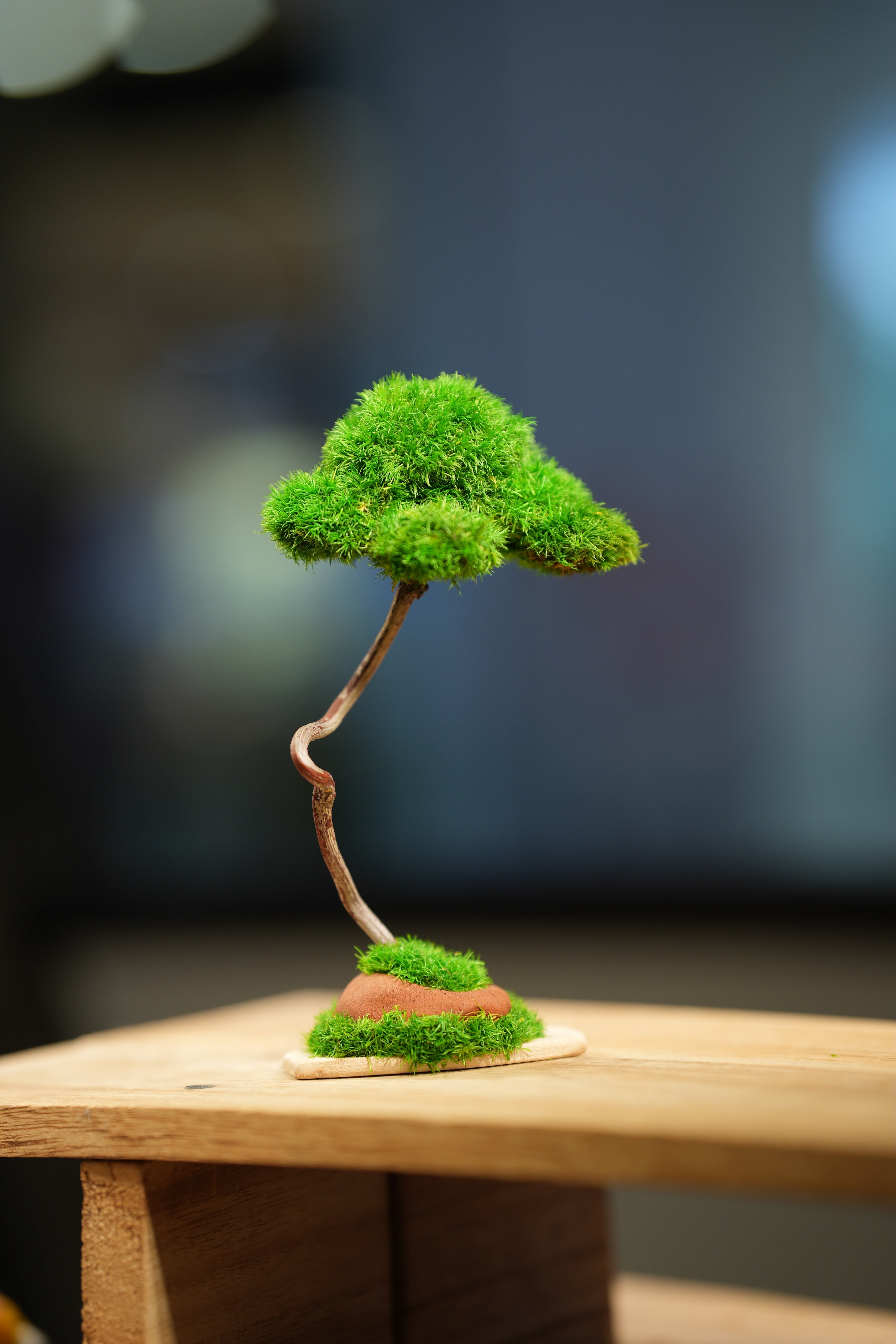 Small Tree in the East