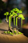 Rosewood - A Path in the East