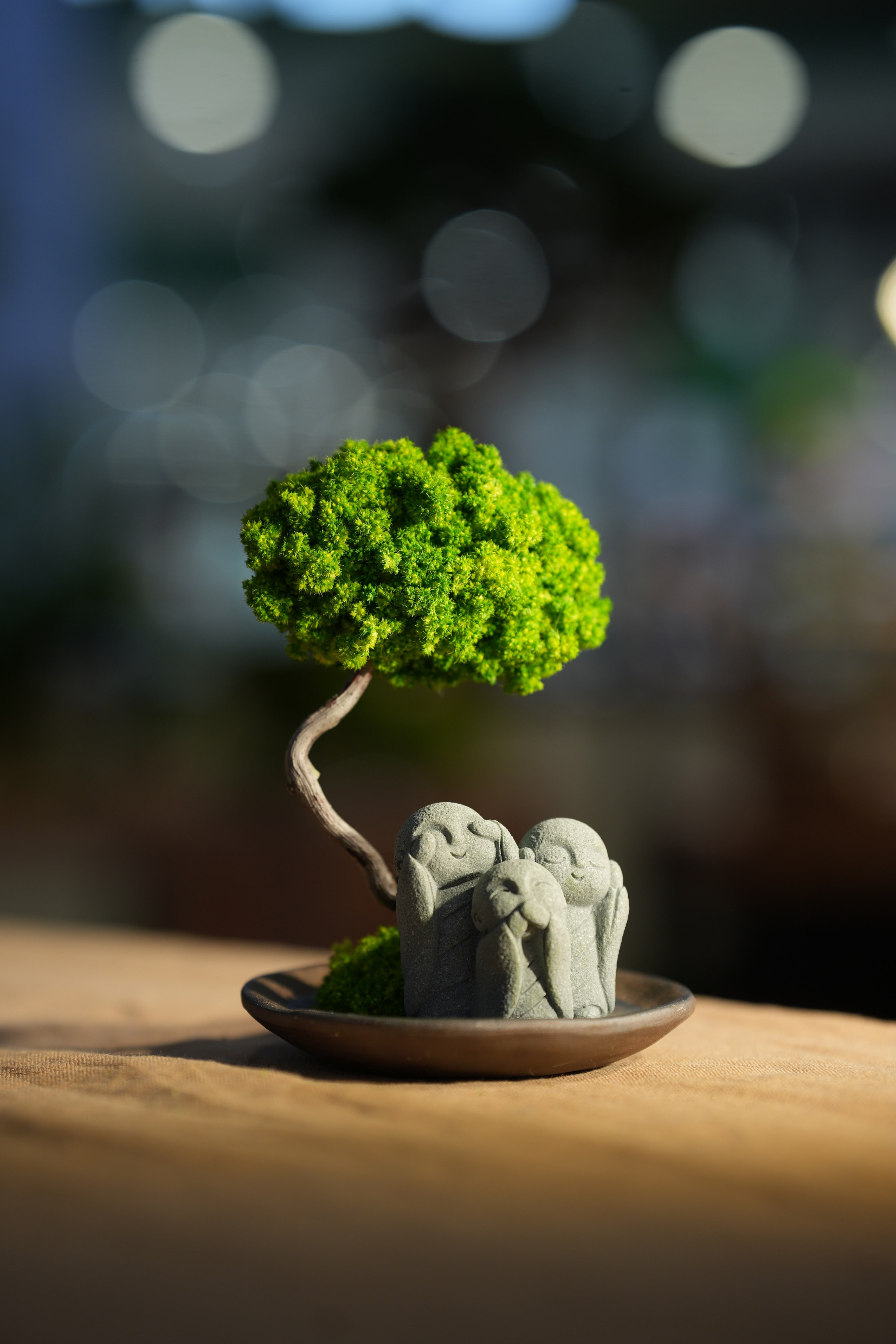 Small Tree in the East - Trio of no Evil