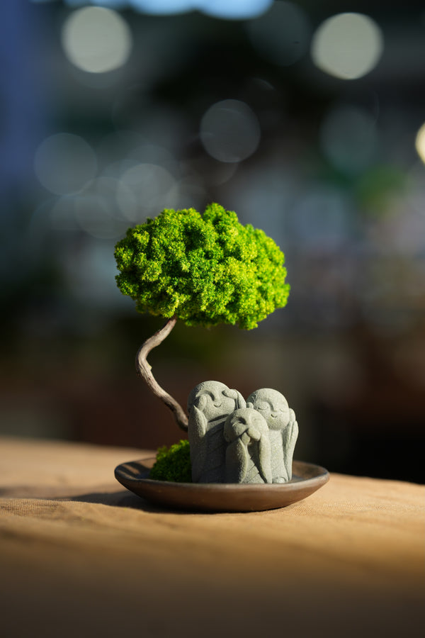 Small Tree in the East - Trio of no Evil
