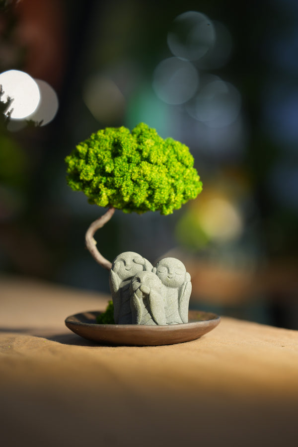 Small Tree in the East - Trio of no Evil