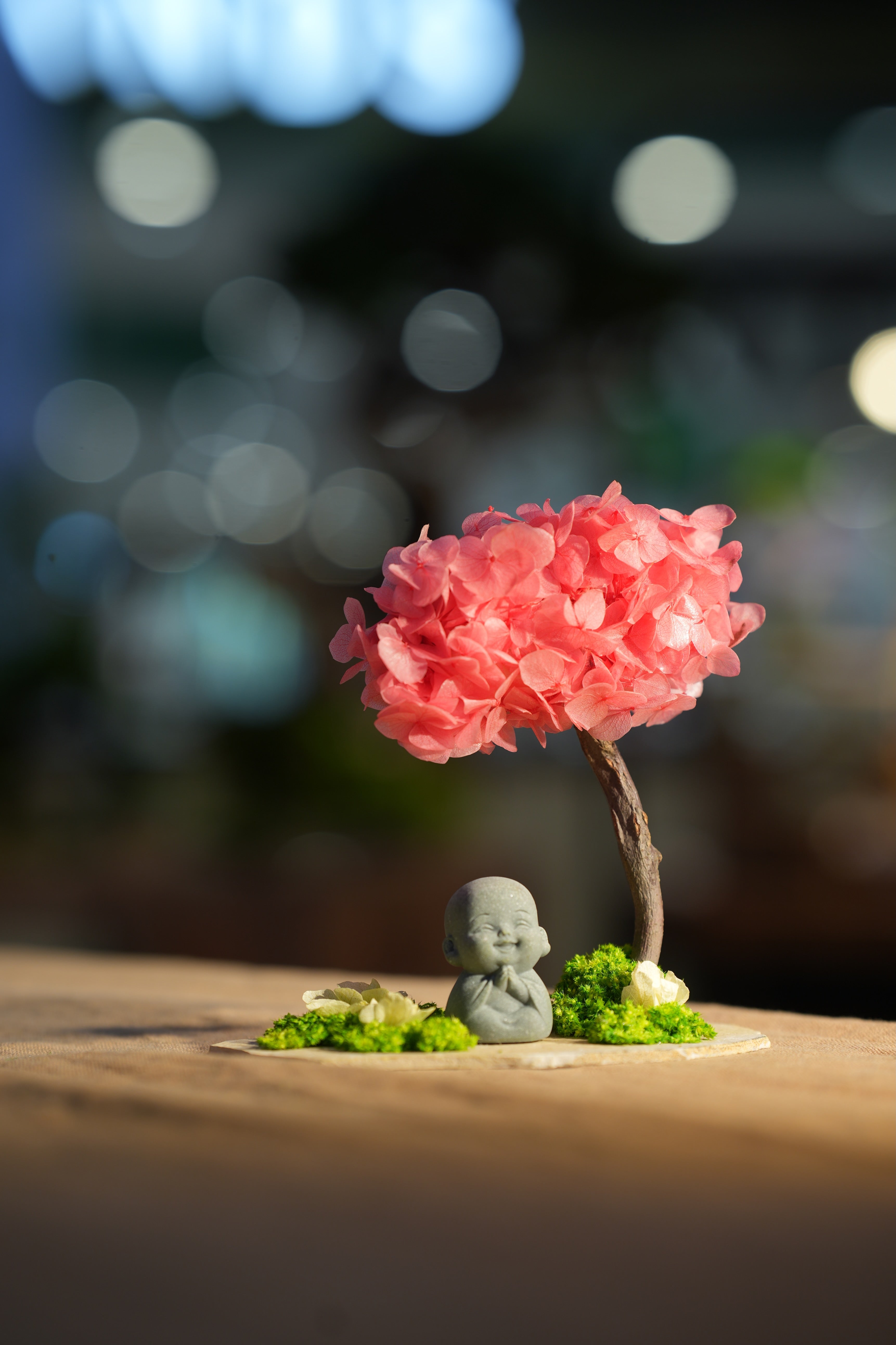 Small Tree in the East - Sakura - Journeyman