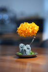 Small Tree in the East - Orange Grove - Trio of No Evil