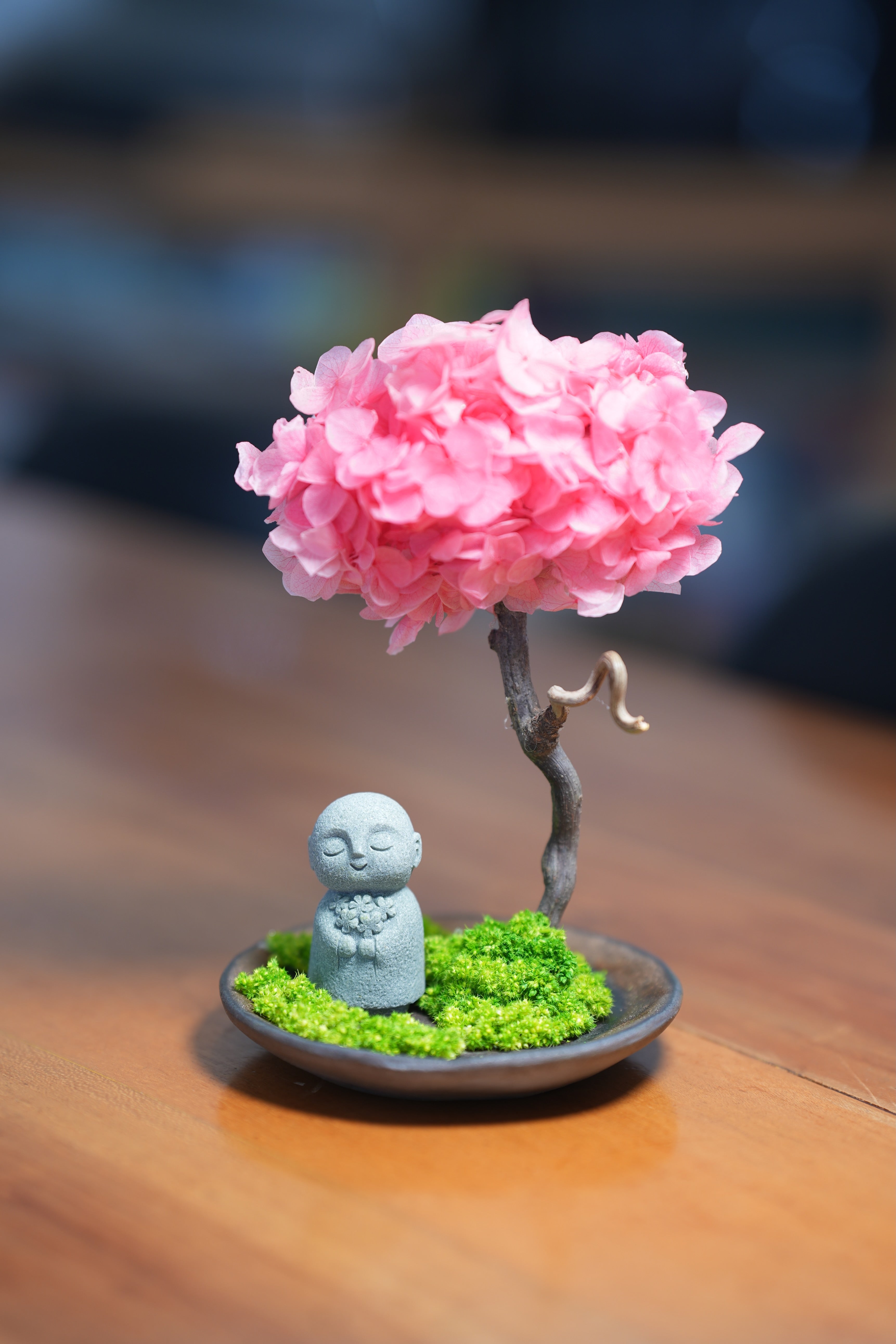 Small Tree in the East - Sakura - Journeyman