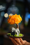 Small Tree in the East - Orange Grove - Trio of No Evil