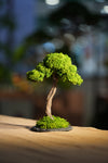 Small Tree in the East - Larger version