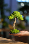 Small Tree in the East - Larger version