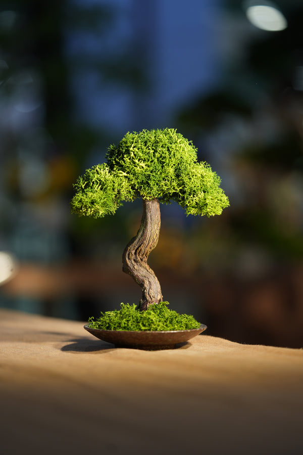 Small Tree in the East - Larger version