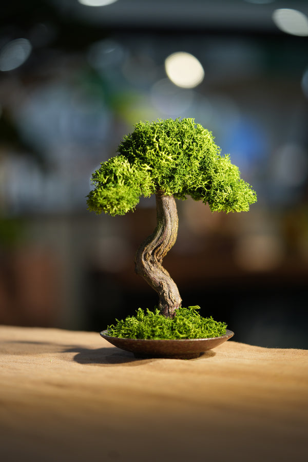 Small Tree in the East - Larger version