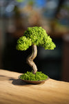 Small Tree in the East - Larger version