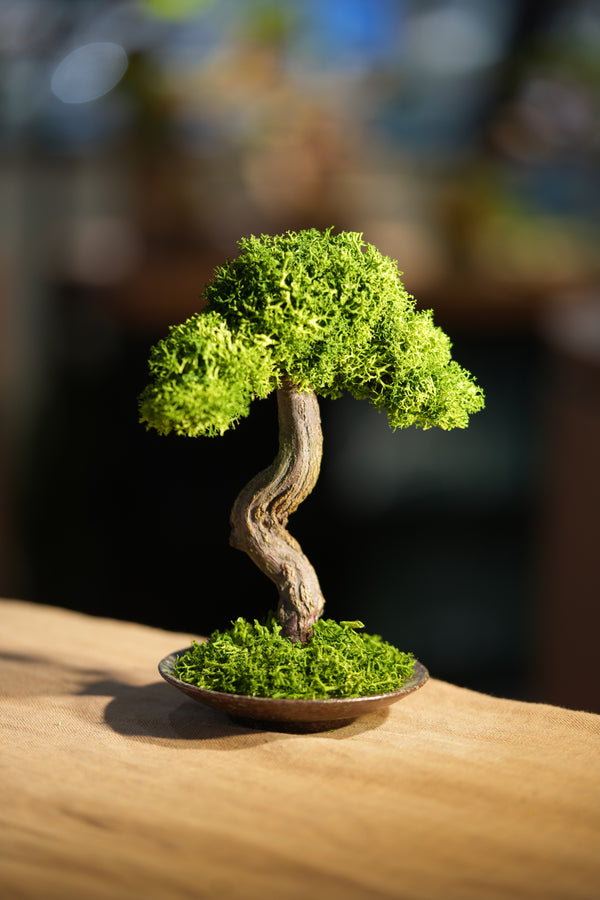 Small Tree in the East - Larger version