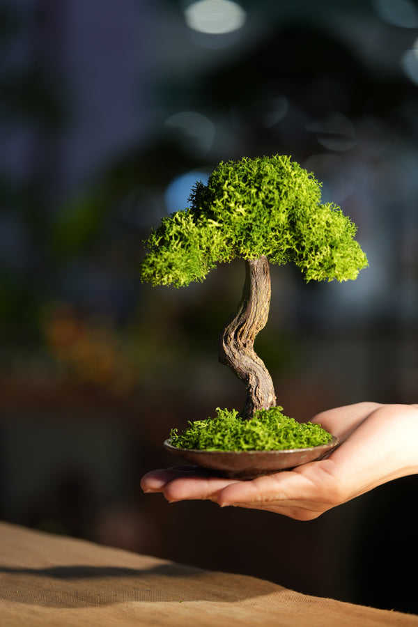 Small Tree in the East - Larger version