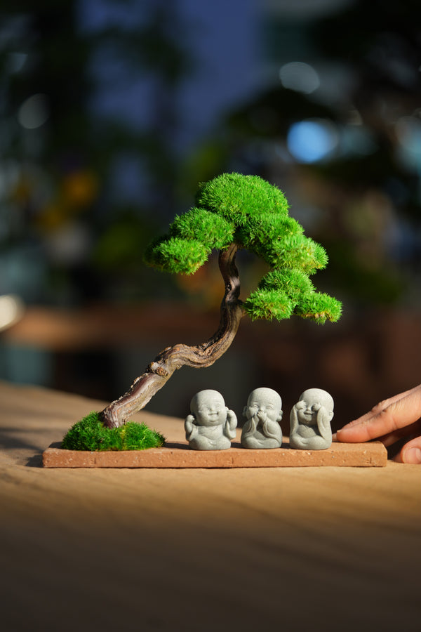 Rosewood - Trio of No Evil