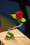 Children of the Forest - Jupiter - Ceramic Curve
