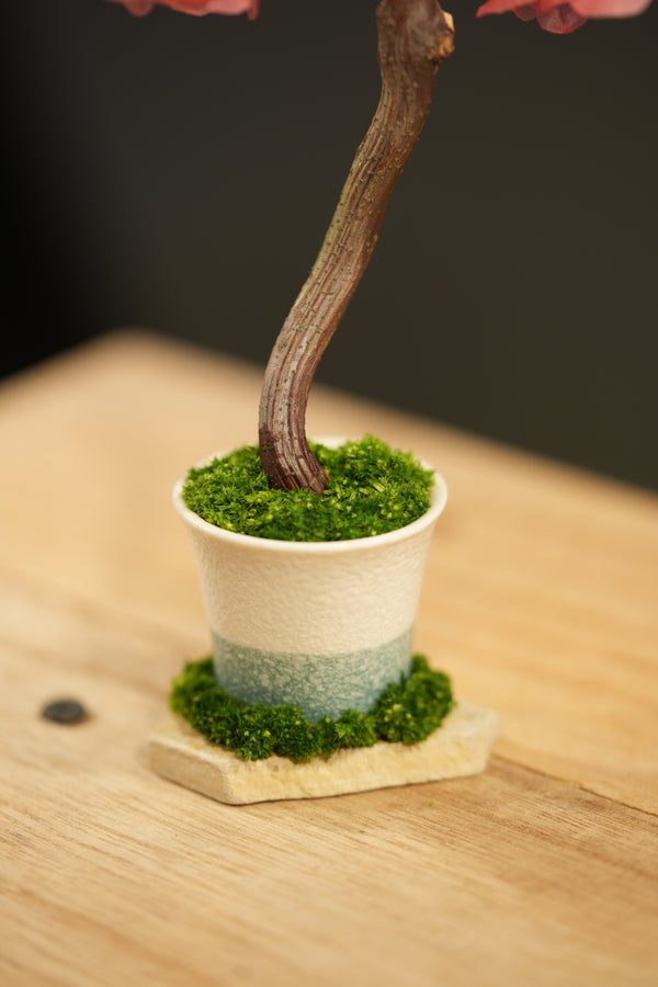 Small Tree in the East - Sakura