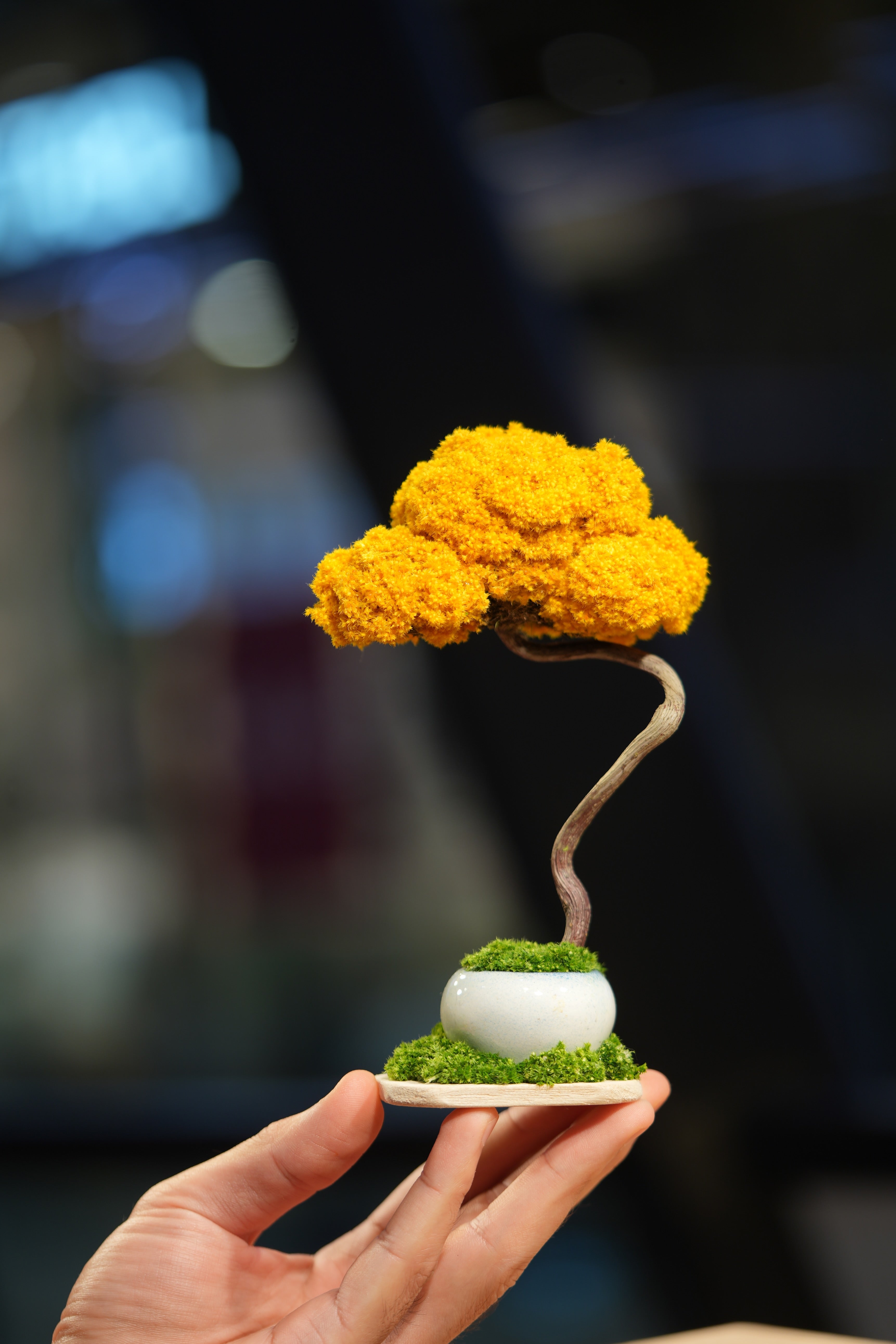 Small Tree in the East - Autumn Gold
