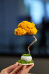 Small Tree in the East - Autumn Gold