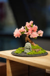 Slow Wood - Sakura - Journeyman