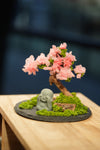 Slow Wood - Sakura - Journeyman